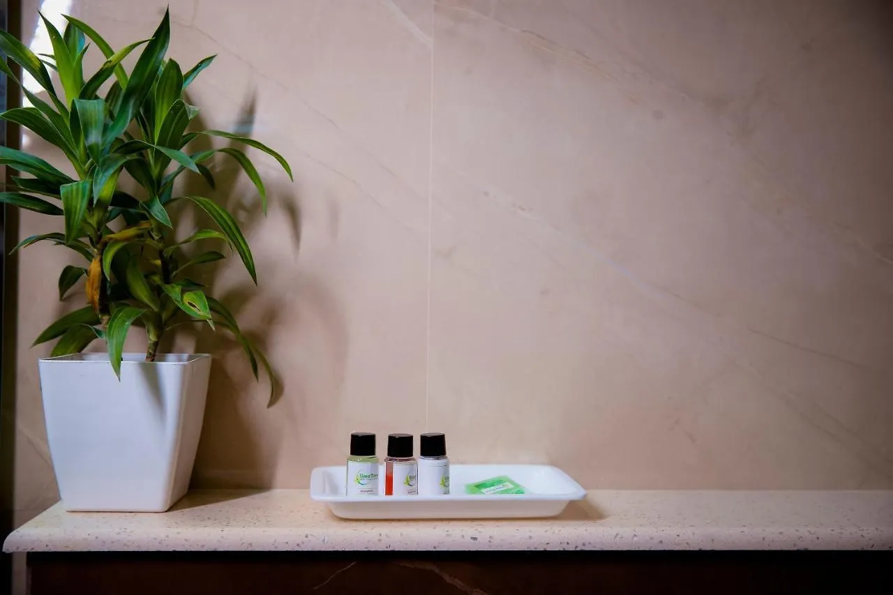 Lime Tree Luxury Studio - Service Apartment Near Artemis Hospital ,Gurgaon 3*, Gurgaon