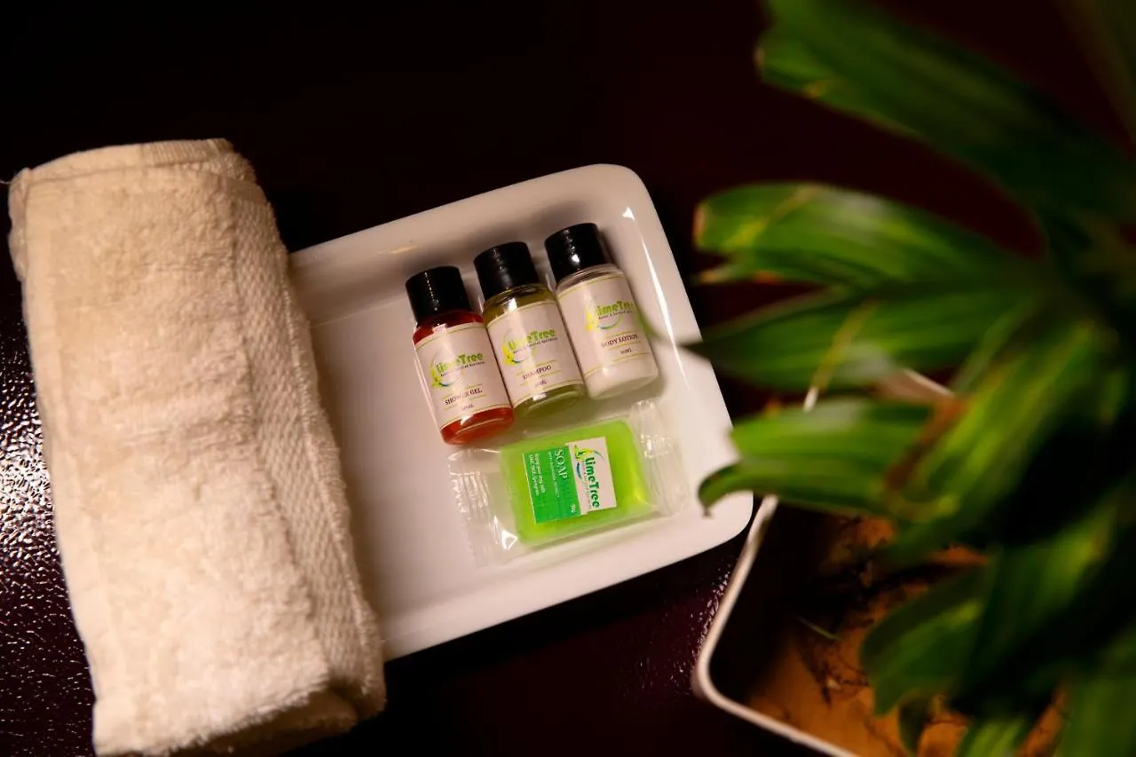 *** Hotel Lime Tree Luxury Studio - Service Apartment Near Artemis Hospital ,Gurgaon India